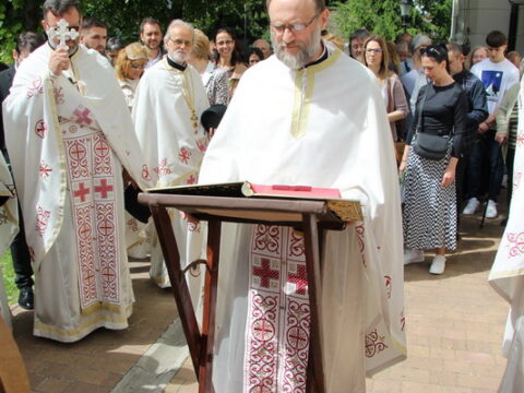 IMG_4675_resize_resize