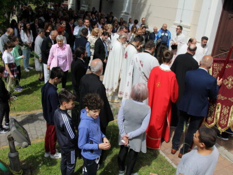 IMG_4685_resize_resize