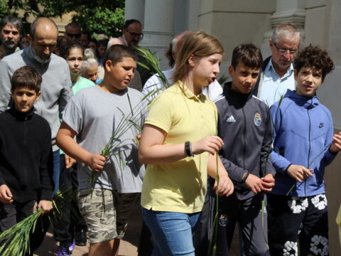 IMG_4707_resize_resize