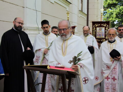 IMG_4708_resize_resize