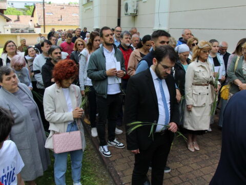 IMG_4713_resize_resize