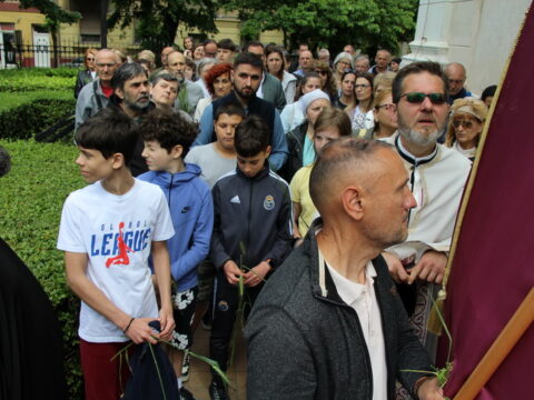 IMG_4753_resize_resize