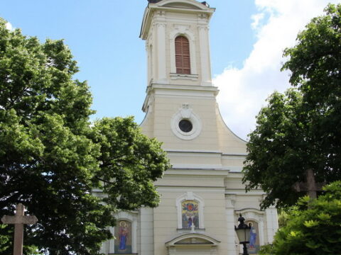 IMG_4774_resize_resize