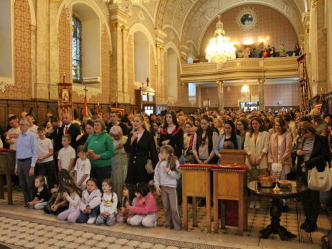 IMG_4781_resize_resize