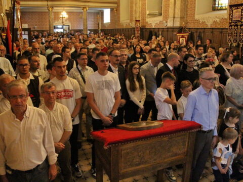 IMG_4799_resize_resize