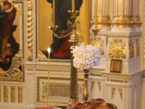 IMG_4835_resize_resize