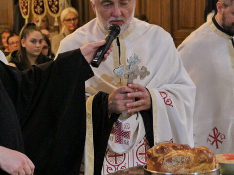 IMG_4845_resize_resize