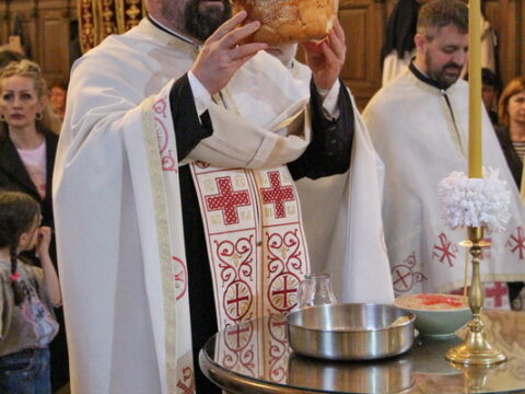 IMG_4847_resize_resize