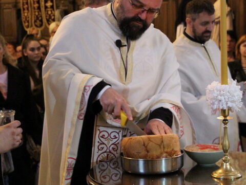 IMG_4850_resize_resize