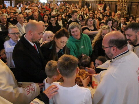 IMG_4856_resize_resize