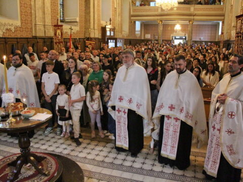 IMG_4868_resize_resize