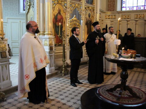 IMG_4884_resize_resize