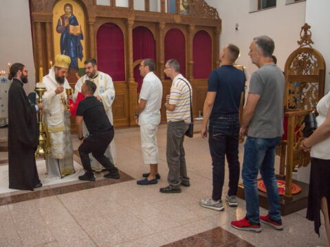 IMG_9720_resize_resize