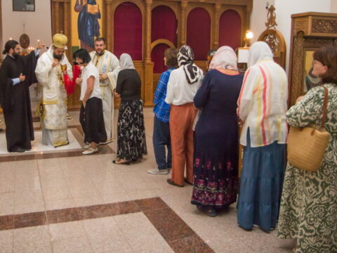 IMG_9724_resize_resize