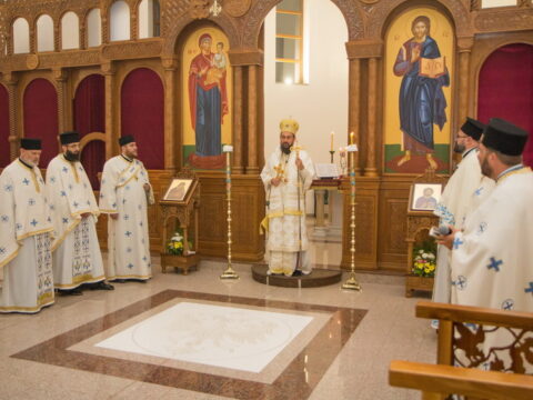 IMG_9739_resize_resize