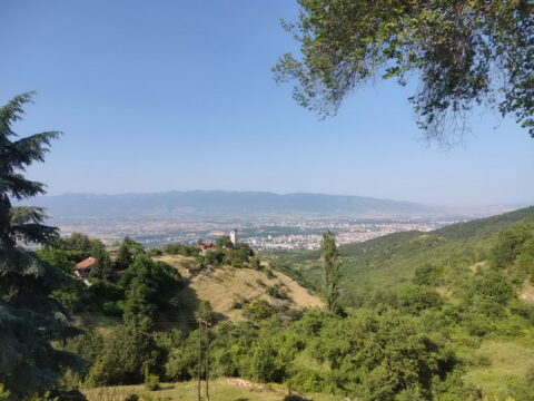 viber_image_2025-06-14_13-47-31-644_resize