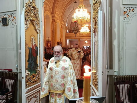 154e5f72-dea5-44dc-9a66-aded433bd416_resize_resize