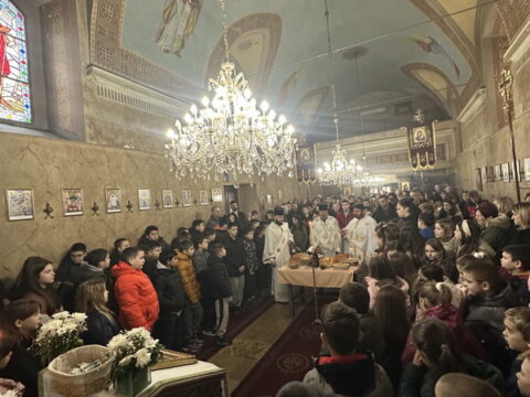 1769541127535200_4aba6e35-160f-416a-9792-1f7f2d36d638_resize