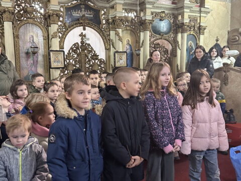 1769541397265462_58b7de16-b00d-44c9-95d4-9481daaef692_resize