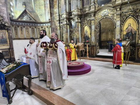 1769592594566_resize