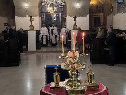 1769592594602_resize