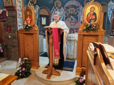 1b6d3602-1ad1-419f-b86b-7a69deaaceaa_resize