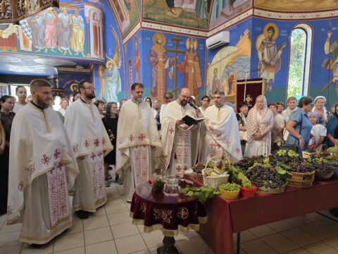 20250819_102830_resize