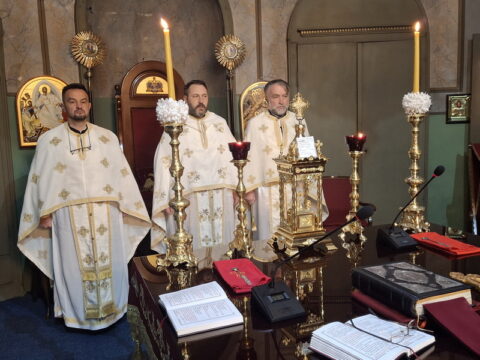 20260127_084126_resize