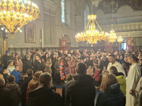 20260127_095201_resize