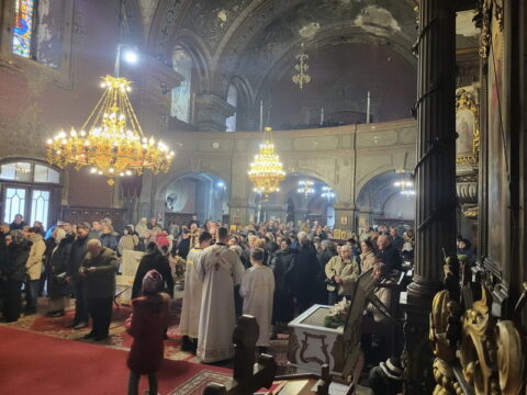 20260127_095428_resize