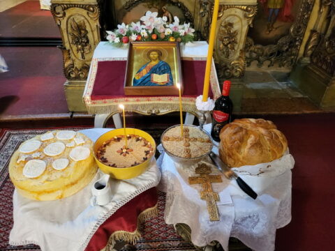 20260127_100259_resize