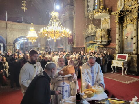 20260127_100541_resize