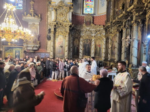 20260127_100618_resize