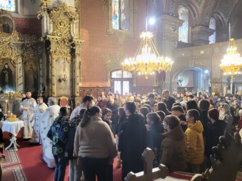 20260127_100706_resize