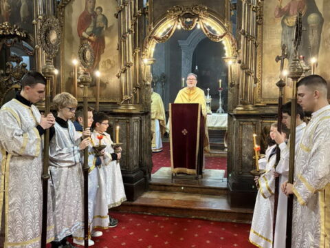 20260127_155409_resize