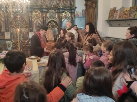 20260127_214545_resize