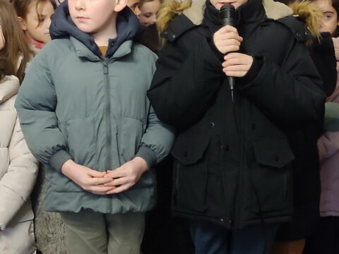 20260127_214726_resize