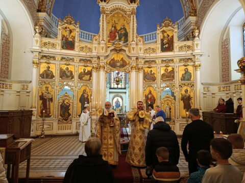 67ed38dd-2447-4078-9c53-b3fa9da722d9_resize_resize