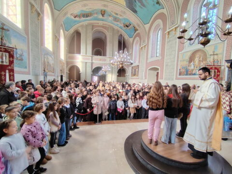 IMG-07c82155ac5bad41d416a273d906ee58-V_resize