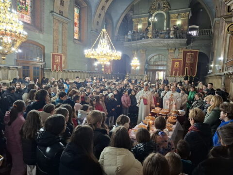 IMG-20260127-WA0019_resize