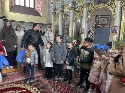 IMG-5b94e08348264d3a5a24d2af4d399f38-V_resize