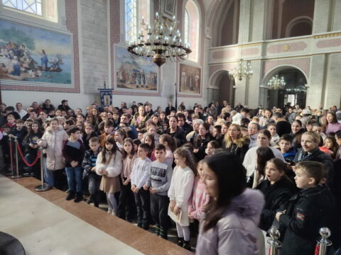 IMG-5ddf6326c8ff603d862f153d655c0fc3-V_resize