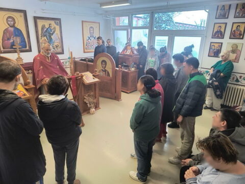 IMG-b366eb781c9539da04e2c354465b3f1d-V_resize