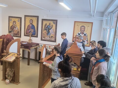 IMG-ea12ae0bd88493d685dbe27293c4071d-V_resize