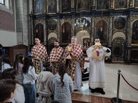 IMG-ed565dd3f6365ab32e0e5e96c3a4f9d0-V_resize