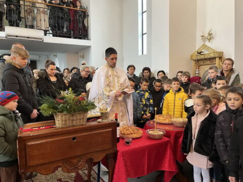 IMG-f865b5ded03b3d2b2a9070c03bed8af0-V_resize