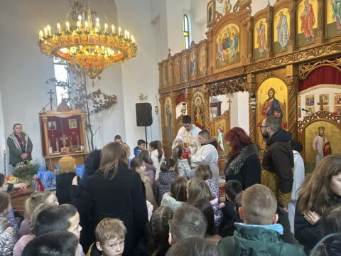 IMG-ffc4f5d1860526a137897e482de181a1-V_resize