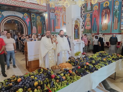 IMG_20250819_091330681_HDR_resize