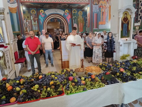 IMG_20250819_092020958_HDR_resize