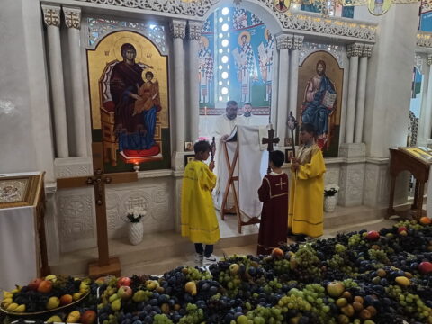 IMG_20250819_092515420_HDR_resize